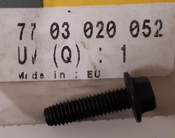 Schraube, Wasserpumpe Renault 7703020052 - Renault